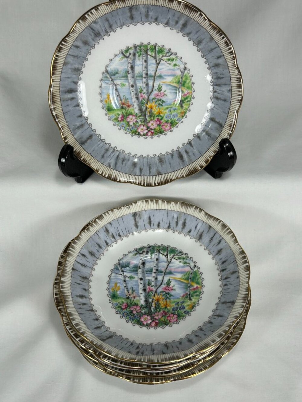 set of 6 colorful bone china saucers. Royal Albert UK Silver Birch